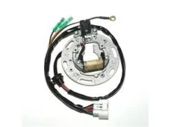 Bihr Stator ELECTROSPORT Kawasaki KX85/KX100