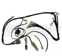 Boano Faisceau Simplifié RR Usine Racing 2T 20-23