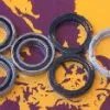 Bihr KIT ROULEMENTS DE ROUE ARRIERE POUR HONDA CR125/250 2000-07, CRF250R/X 2004-07 ET CRF250R/X 2002-07