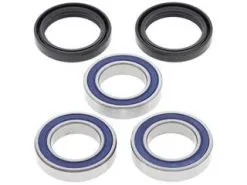 Bihr Kit Roulements De Roue Arrière ALL BALLS