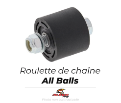 Bihr Roulette De Chaine All Balls