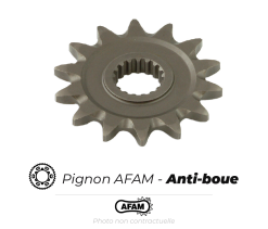 Bihr Pignon Acier AFAM Anti-boue