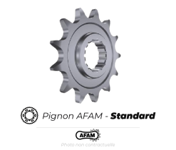 Bihr Pignon Acier AFAM Standard